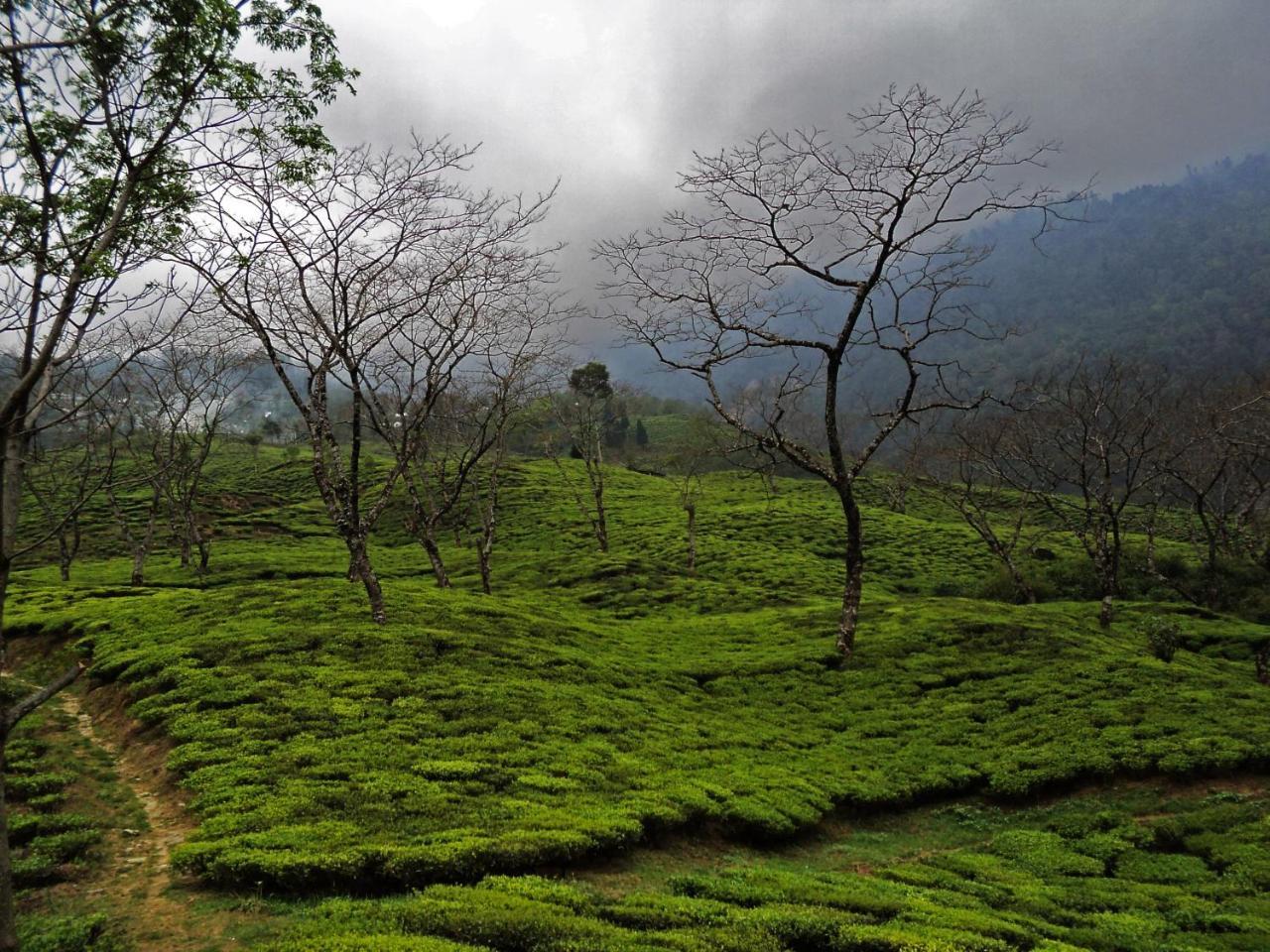 Rangaroon Trekkers Hut Darjeeling (West Bengal) Exterior photo