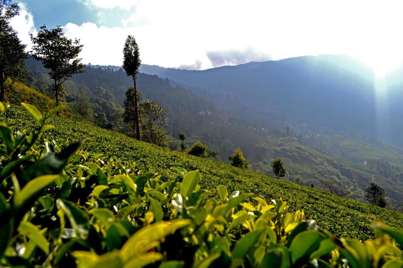 Rangaroon Trekkers Hut Darjeeling (West Bengal) Exterior photo